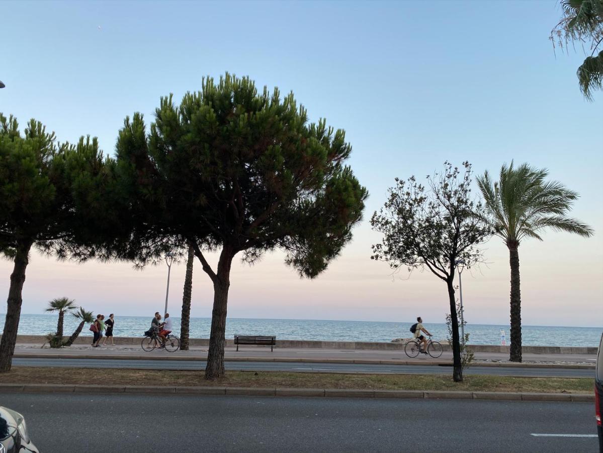 Coquet Logement Front De Mer Cagnes-sur-Mer Ngoại thất bức ảnh